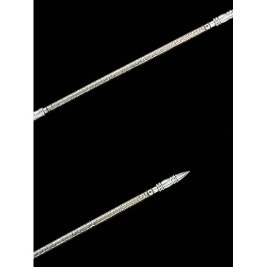 Chinese Martial Arts Martial Arts Training - Training Weapon