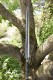 Longquan City Sword Handmade Forging Integrated Six Sides Tang Sword Television Han Sword Cold Weapon Long Sword Craft
