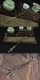 Longquan Handmade Tea Sword Blade Blade Tea Caper Tea Ceremony Accessory Pu'er Prill Tea Special Tea Special Tea Special