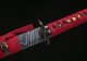 Katana 203 Series 78 - Handmade Samurai Sword