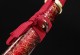 Katana 203 Series 53 - Handmade Samurai Sword