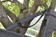 Longquan Han Sword - High Manganese Steel Display