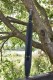 Longquan City Sword Handmade Forging Integrated Six Sides Tang Sword Television Han Sword Cold Weapon Long Sword Craft