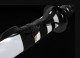 Katana 203 Series 68 - Handmade Samurai Sword