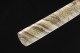 Katana 203 Series 14 - Handmade Samurai Sword