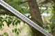 Douyin same Longquan sword handmade forging all -in -one wooden handle six sides Tang sword sword sword sword collectible blade