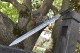 Longquan Han Sword - High Manganese Steel Display
