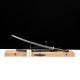 Katana 203 Series 56 - Handmade Samurai Sword