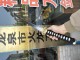 Samurai Tanto 17 - Traditional Japanese Short Sword