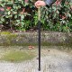 cane walking stick sword cane walking stick sword