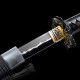 katana 100-202