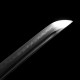 katana 100-202