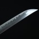 katana 100-202