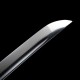 katana 100-202