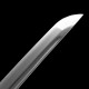 katana 100-202