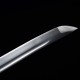 katana 100-202