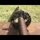 Samurai sword 332-365 Japanese sword Samurai sword 332-365 Japanese sword