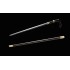 Walking stick sword 1