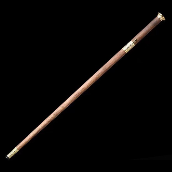 Walking stick sword 2