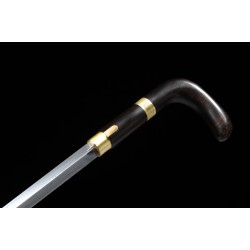 Walking stick sword 1