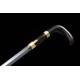 Walking stick sword 1 Walking stick sword 1
