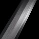 Chinese sword 1-154
