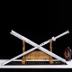 Chinese sword 1-154