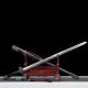 Chinese sword 1-154