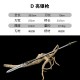 Mother -in -law Double Sword III Elementary School Series Tea Sword Sword Sword Mini Eighteen Weapon Playing Playing Mother -in -law Double Sword III Elementary School Series Tea Sword Sword Sword Mini Eighteen Weapon Playing Playing