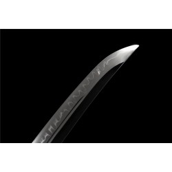 katana 002 Kokarasumaru's "Mandrill" T10 steel